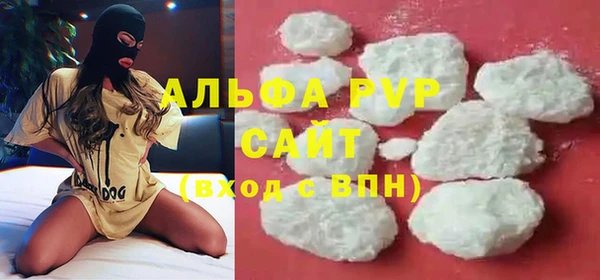 стафф Осинники