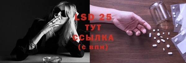 стафф Осинники