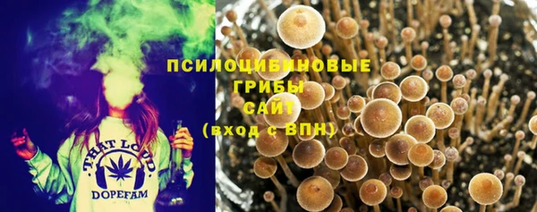СК Остров