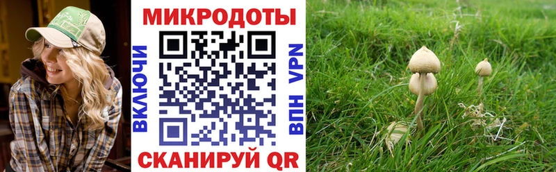 Псилоцибиновые грибы ЛСД  Сурск 